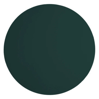 Set de table rond Vacavaliente® en cuir recyclé coloris Vert amazonie