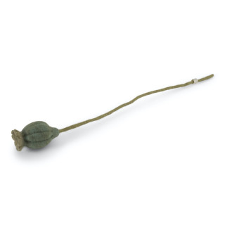Grande capsule de coquelicot en laine Gry & Sif