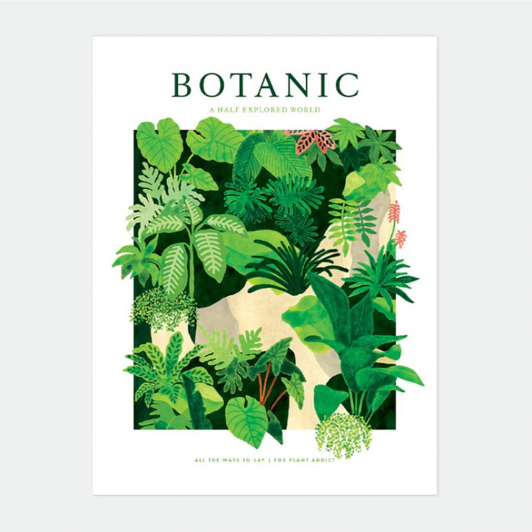 Affiche Botanic 30x40 cm (atws)