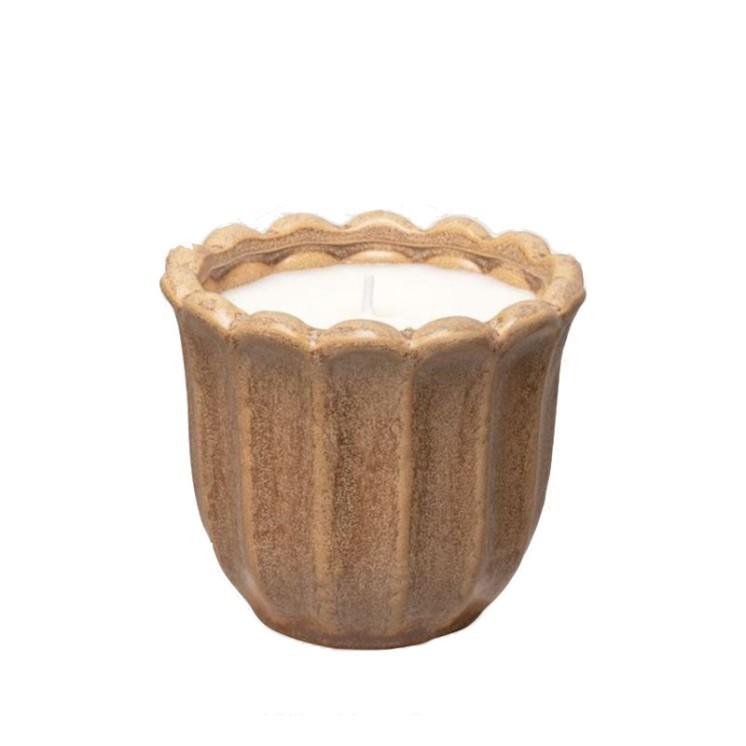 Bougie tulipe Figuier barbare