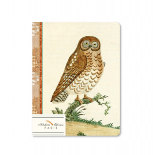 Petit carnet A6 illustration Chouette