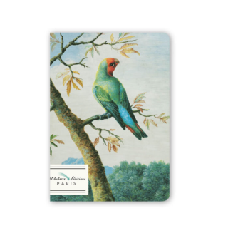 Petit carnet A6 illustration Oiseau des tropiques