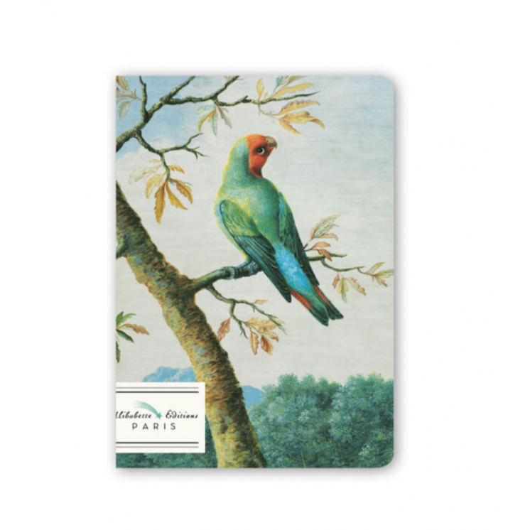 Petit carnet A6 illustration Oiseau des tropiques