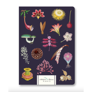 Carnet A5 illustration Merveilleuses