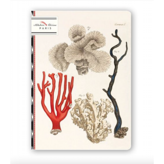 Carnet A5 illustration Coraux