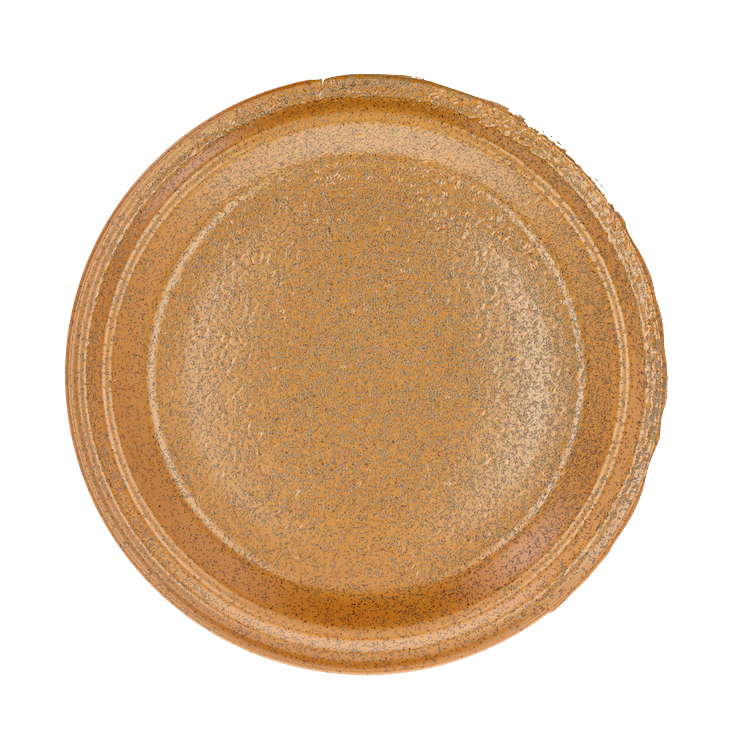Grande assiette de la gamme EVIG, en porcelaine émaillée, coloris Ambre. Diamètre : 26 cm