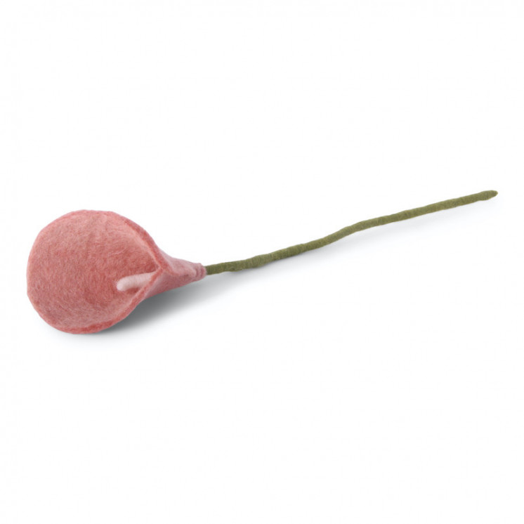 Calla en laine rose