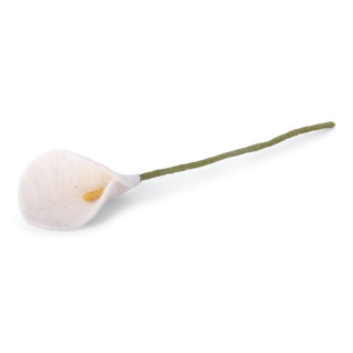 Calla en laine blanc